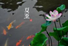 2018夏至時間_夏至是什么時候_吃什么養生_夏至習俗