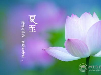 夏至養生有講究 調養身心是關鍵