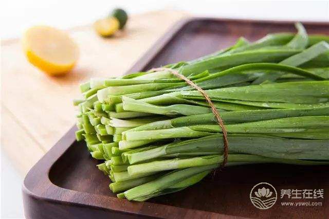 秋季時節可食用韭菜養生
