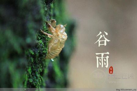 谷雨節(jié)氣的由來?