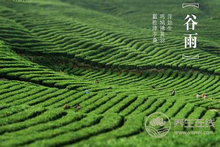 谷雨節(jié)氣的由來?