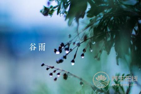 什么是谷雨節氣?