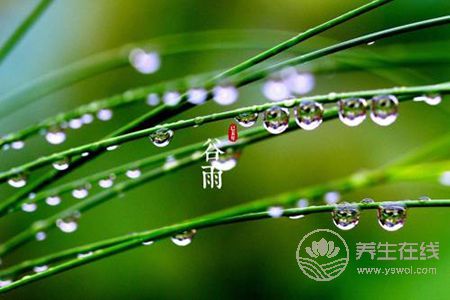 谷雨節(jié)氣的由來?