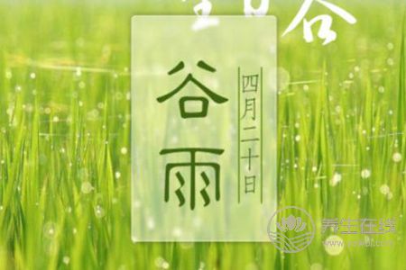 2019年谷雨是哪天?