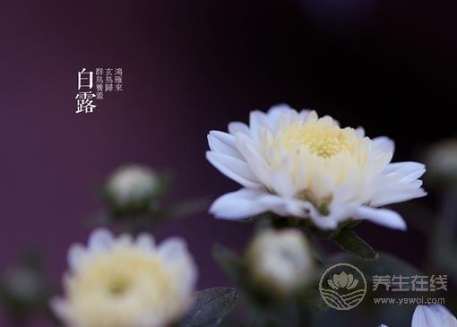 白露節氣該如何對抗干燥