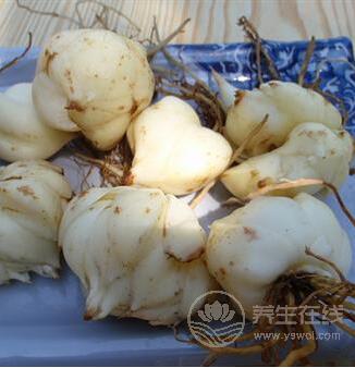 秋分節氣養生必吃10種蔬菜 滋補潤燥