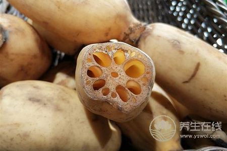 為什么處暑吃蓮藕?處暑吃蓮藕功效有哪些?