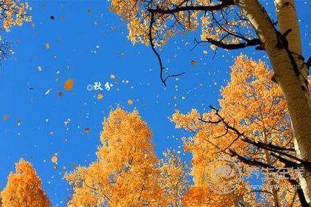 節(jié)氣里的秋分是什么意思?秋分節(jié)氣的習(xí)俗有哪些?