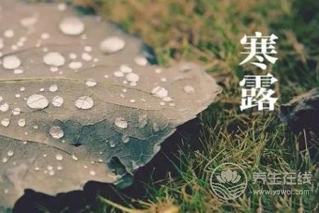 寒露的來歷是什么?寒露節(jié)氣如何養(yǎng)生?