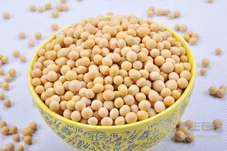 寒露節(jié)鴨子吃法是什么?寒露節(jié)吃鴨子的食譜有哪些?