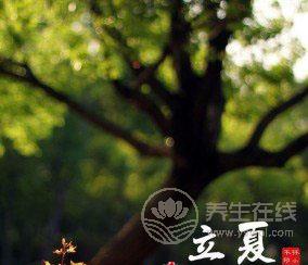 立夏有哪些習俗 立夏吃了蛋熱天不疰夏-易網<a href=http://www.aoa7937.com/ target=_blank class=infotextkey>健康養生</a>網 立夏有哪些習俗 立夏吃了蛋熱天不疰夏