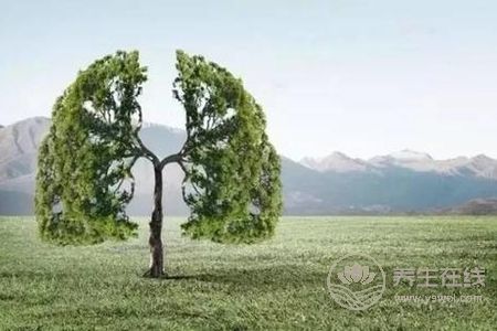 霜降如何養生?霜降時節如何養肺?
