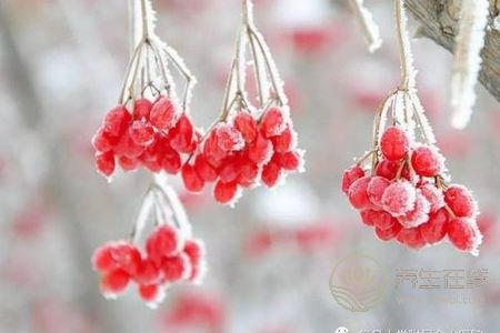 霜降要預(yù)防哪些疾病?霜降預(yù)防皮膚疾病方法是什么?