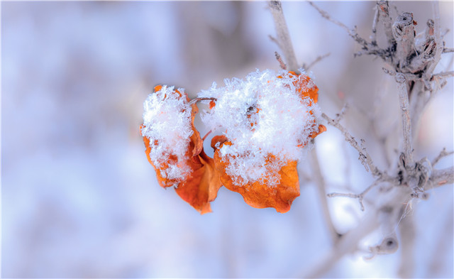 下雪天會被曬黑嗎？下雪也要注意防曬