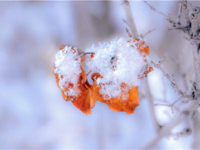 下雪天會(huì)被曬黑嗎？下雪也要注意防曬