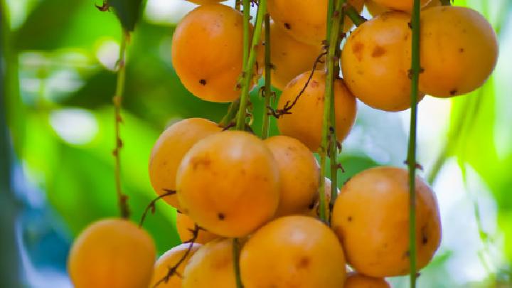 養(yǎng)胃的食物有哪些 八種養(yǎng)胃食物千萬(wàn)別錯(cuò)過(guò)