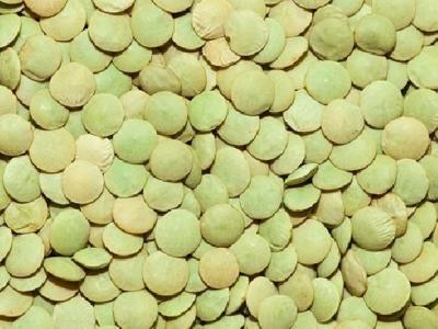 夏季食療養生菜譜有哪些 推薦5個夏季的養生食譜