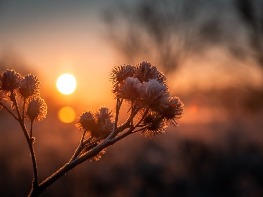 秋分秋意濃 適當(dāng)運動解心寬-易網(wǎng)健康<a href=http://www.aoa7937.com/jkys/ target=_blank class=infotextkey>養(yǎng)生</a>網(wǎng) 秋分秋意濃 適當(dāng)運動解心寬
