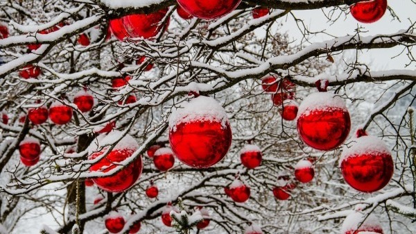 小雪節(jié)氣：健康養(yǎng)生5常識(shí)