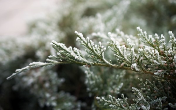 小雪節(jié)氣：健康養(yǎng)生5常識(shí)