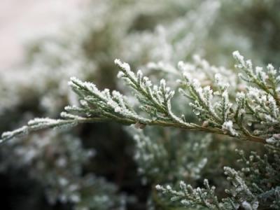 小雪節(jié)氣：健康養(yǎng)生5常識(shí)