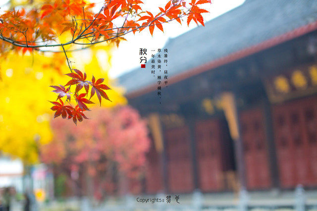 秋天也會濕氣重嗎，秋天濕氣重需要注意些什么