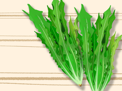 春分節(jié)氣的特點(diǎn)和風(fēng)俗
