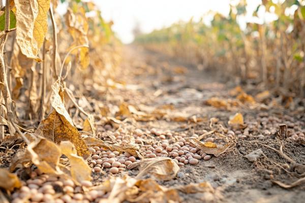 為什么會有閏六月