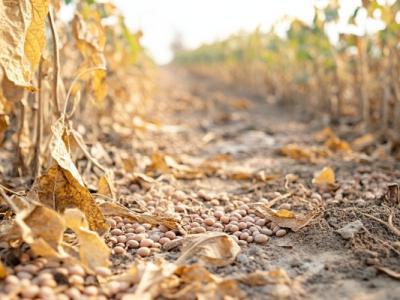 為什么會(huì)有閏六月