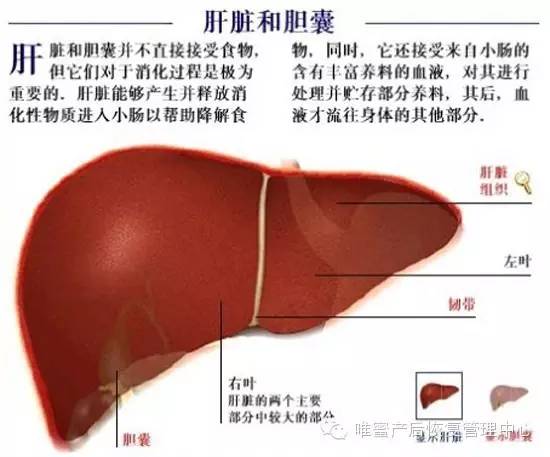 這些身體部位，不保養老的快