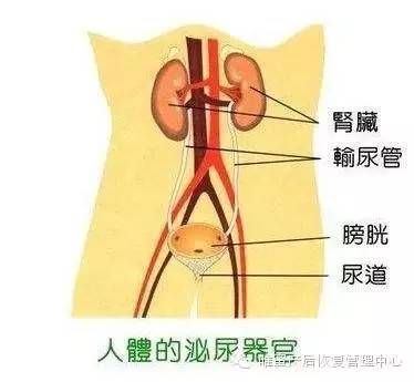 這些身體部位，不保養老的快