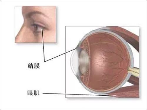 哪些才是眼科必查項目？