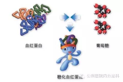 糖化血紅蛋白正常不等于血糖控制好