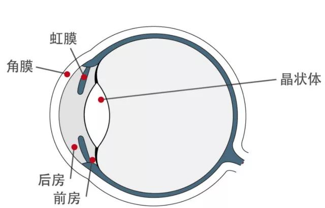 哪些才是眼科必查項目？