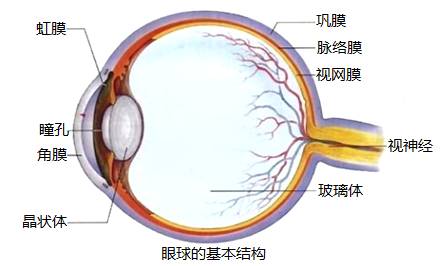 哪些才是眼科必查項目？