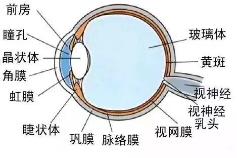 哪些才是眼科必查項目？