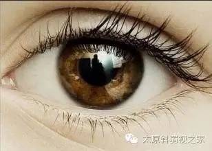 眼睛的十五個(gè)秘密，你知道嗎?