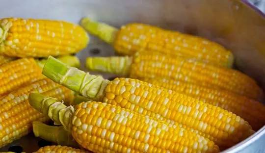 眼睛愛“吃”的十種食物