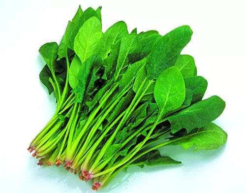 呵護視力，哪些食物能幫你護眼呢？