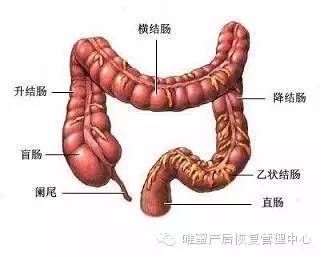 這些身體部位，不保養老的快