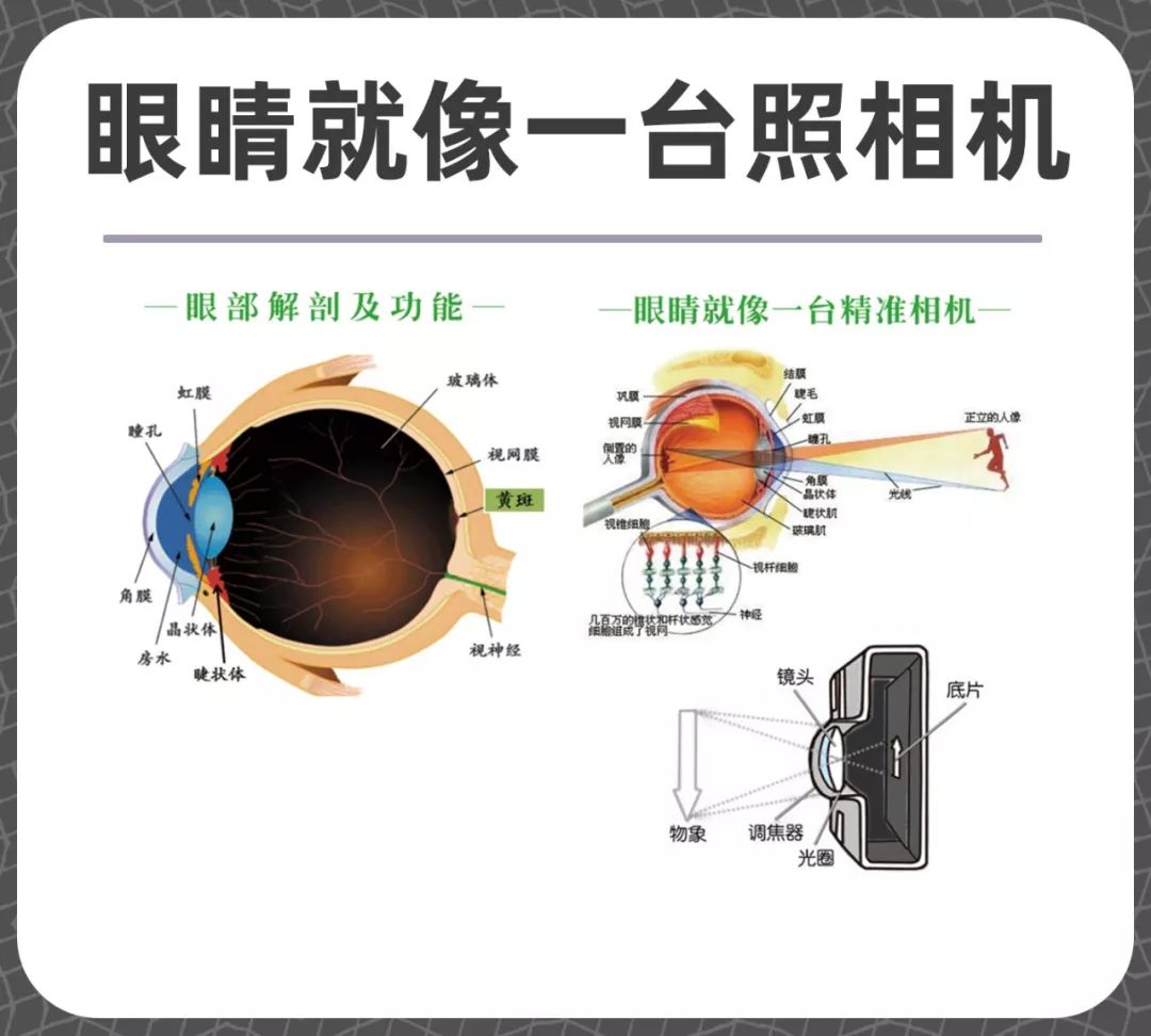 如何健康簡單護眼?-易網(wǎng)健康養(yǎng)生網(wǎng) 如何健康簡單護眼?