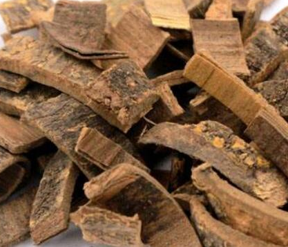 苦連樹(shù)皮的功效與作用及禁忌