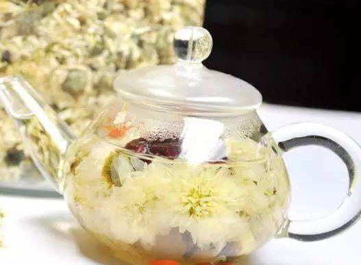 白菊花茶的功效與作用_禁忌