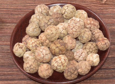 大草寇的功效與作用-易網健康<a href=http://www.aoa7937.com/jkys/ target=_blank class=infotextkey>養生</a>網 大草寇的功效與作用