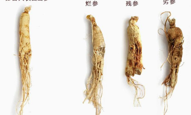 人參枸杞酒10斤怎么配