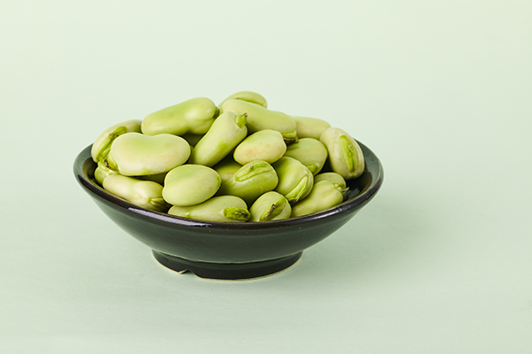 尿酸高能吃蠶豆嗎(蠶豆的嘌呤含量高嗎)-易網健康<a href=http://www.aoa7937.com/jkys/ target=_blank class=infotextkey>養生</a>網 尿酸高能吃蠶豆嗎(蠶豆的嘌呤含量高嗎)