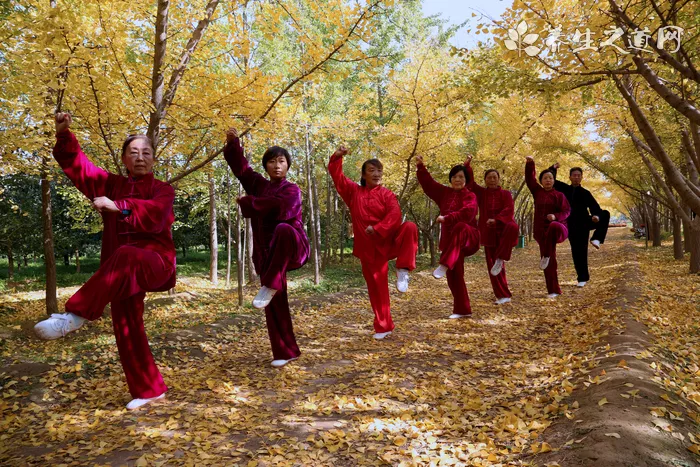 喜迎國慶 石家莊開展五星紅旗飄起來活動(dòng)