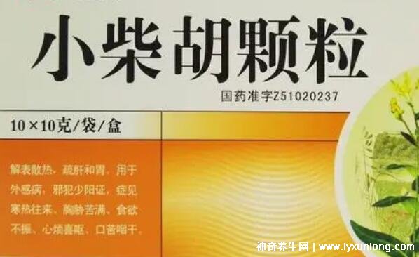 小柴胡三種人不能吃，其實有六種人不能吃(風(fēng)寒/陰虛慎用)