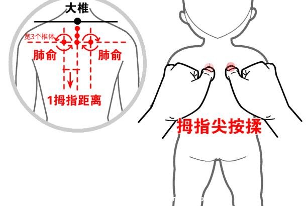 穴位肺俞的準確位置圖片和功效，2個找肺俞最笨方法(止咳化痰)
