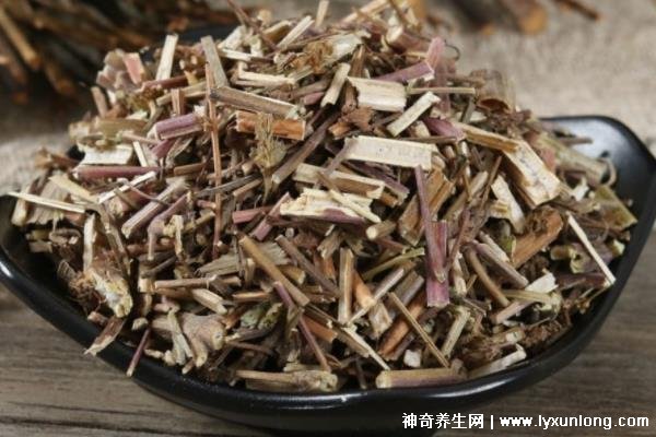 荊芥的十大神奇功效，治療風熱頭痛/咽喉腫痛(能抗過敏/消疹止癢)